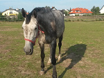 Fotoblog maja444