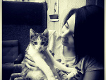 Fotoblog kingaxes