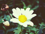 Fotoblog rivinaphotography