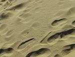 Fotoblog onthewaytohelll