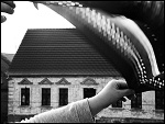 Fotoblog ginerrwa