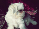 Fotoblog leeem