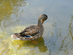 Fotoblog paula181001