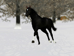Fotoblog maybellinenorthstallion