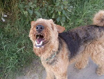 Fotoblog stawiii