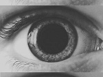 Fotoblog serpentyna0