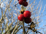 Fotoblog julaay