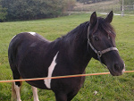Fotoblog brmr