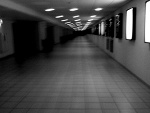 Fotoblog teraztospierdalaj