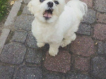 Fotoblog oteodorska