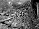 Fotoblog vampire3