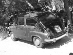Fotoblog tyusia