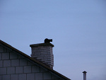 Fotoblog zs3lukow