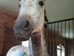 Fotoblog julaaaa02
