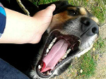 Fotoblog aqua98