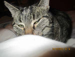 Fotoblog djsadek21
