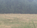 Fotoblog kamil12125