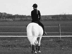 Fotoblog szara555