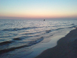 Fotoblog niedzisiejsza