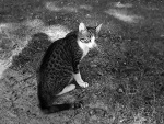 Fotoblog 9lipiec