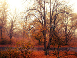 Fotoblog d8versus