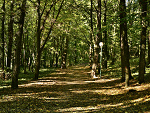 Fotoblog obiektywempodpatrzone