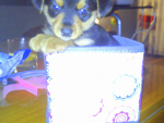 Fotoblog oooewelinooo