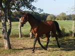 Fotoblog amazonka098