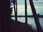 Fotoblog rzabka