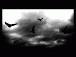 Fotoblog badddreamss