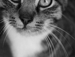 Fotoblog xdixdix