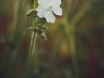 Fotoblog szemrajfotografi