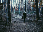 Fotoblog kachson