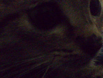 Fotoblog paulalu254