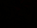 Fotoblog smierciozercadamian