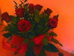 Fotoblog xxsmileexx