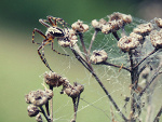Fotoblog paullinkaax3