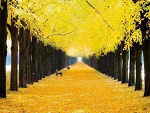 Fotoblog fullofdaydream