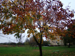 Fotoblog misias24