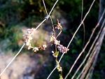 Fotoblog asxsdvv