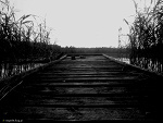 Fotoblog chceumrzecc