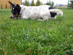 Fotoblog michalaqq