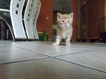 Fotoblog toffie01