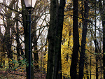 Fotoblog zuzialenard