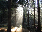 Fotoblog vexxiu