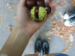 Fotoblog bornthiswayyap