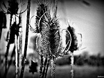 Fotoblog mcskejt