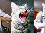 Fotoblog findmeinmydreams