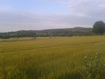 Fotoblog bialawisienka