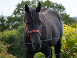 Fotoblog merthyr